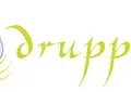 Praktijk Druppel partner logo